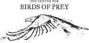 BIRDS OF PREY(1)