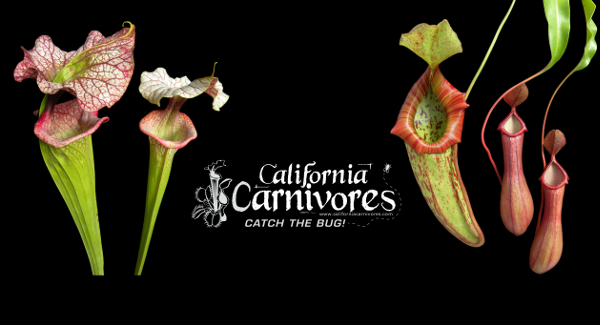 Californiacarnivores