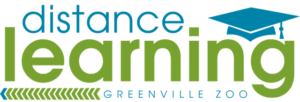 distance logo