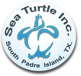 sea-turtle-inc-logo
