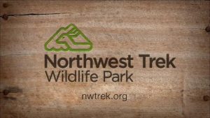 northwest-trek-wildlife-park-go-wild-large-10